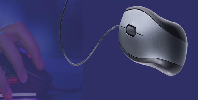 Mouse